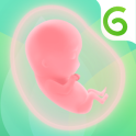 GLOW. Pregnancy & Baby Tracker