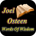 Joel Osteen Words Of Wisdom