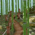 Bamboo Forest 3D Live Wallpaper and Screen Saver