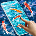 HD Koi Live Pond 3D Fish 4K Live Wallpaper Free