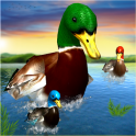 Virtual Duck Simulator Family