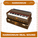 Harmonium Real Sound