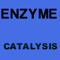 EnzymeQA