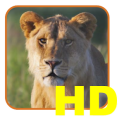 Safari List HD