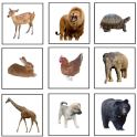 First Animals (in 5 languages)