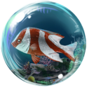 Underwater World 3D