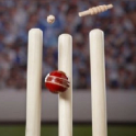 Cricket Game Tones