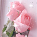 Pretty Pink Roses Live Wallpap