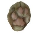 The Paw Note
