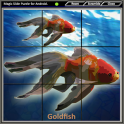 Magic Slide Puzzle A Fishes 1