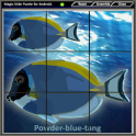 Magic Slide Puzzle A Fishes 2