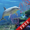 Dolphin CoralReef Trial