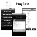 PlayBets Casino