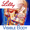 Human Anatomy Atlas for Lilly