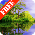 Forest Pond Free
