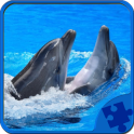 Dolphins Jigsaw Puzzle