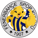 Flapping Fenerbahce Canary