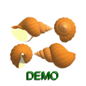 3D Virtual SeaShell Demo