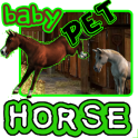 Baby Horse Pet
