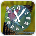 Birds Clock Live Wallpaper