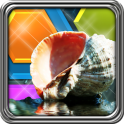 HexLogic - Seashells