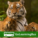 Learn Zoology by GoLearningBus
