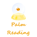 Palm Reader