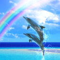 Dolphin Beats Free