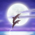 Dolphin★RYUKYU HEALING Free