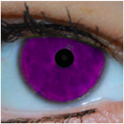 Baby Eye Color Predictor