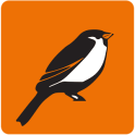 Sparrow App