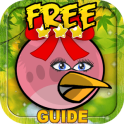 Stella Guide for Angry Birds