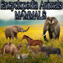 Animal Encyclopedia: Mammals