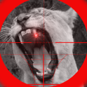 Lion Attack 3D