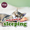 Mewmew Mewmew Cat Alarm Clock