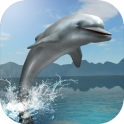 Dolphin Survival Simulator