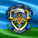 Russian Airborne Symbols,Flag