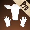 Cowhands Pro