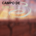 Campo de Borja