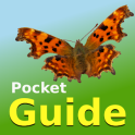 Pocket Guide UK Butterflies