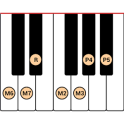 DG Piano Scales