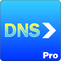 DNS Forwarder Pro