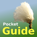 Pocket Guide UK Grasses