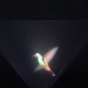 Vyomy 3D Holograma Colibrí