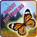 Forest Butterflies