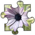 Flowers Jigsaw Puzzle