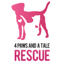 4Paws Tale
