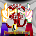 Naija Boxing 3D_