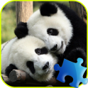 Panda Jigsaw Puzzle