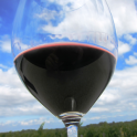 New York Winery Finder: Tablet